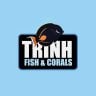 Trinh Fish & Corals