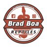 Brad Boa