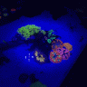 tailoftwogobies