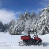 Adirondackgold