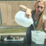 Gayle_the_snail