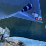 HoldensReef