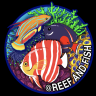 reefandfish