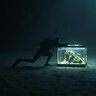 the_rainy_day_aquarium