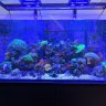 FishguyJosh