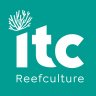 ITCreefculture