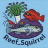 Reef_Squirrel