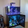 Townsaquaria