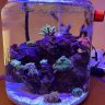 DesktopReefer