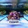 CoraroC