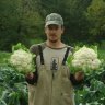 Cauliflower Cultivator