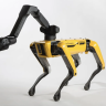 robo_reef