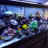 snowboard1