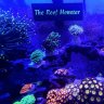 The Reef Monster