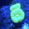 Aquadan34G