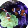 loftisray