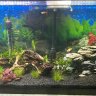 New2Reef1