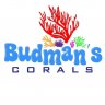 Budman's Corals