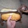 Strange Addiction