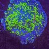reefbliss2344