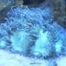 OurReef