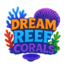 Dreamreefcorals