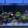reeferpdx415