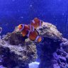 mowaterchanges