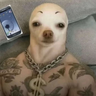 DoupaZzz