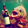 Chuddlefish