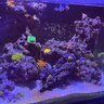 EastonsReef