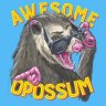 Awesome Opossum