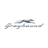 Greyhound