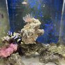 simple Reefer