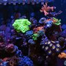 Nano ocean22