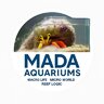 MaDa Aquariums