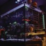 HighDefAquaria