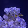cdstanley0123