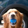 plumbdogmillionaire