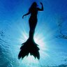 MermaidReef