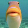 JohnTheFisherman