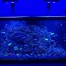 mm7023