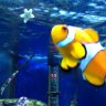 A Fish Called Wanda