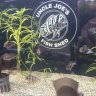 uncle joe's fish shed