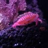 MicroMarina