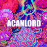 AcanLord.com