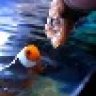 FishDooD65
