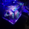 Reefmon