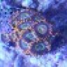 Sobo's Reef