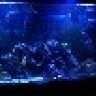 Reef addict 01